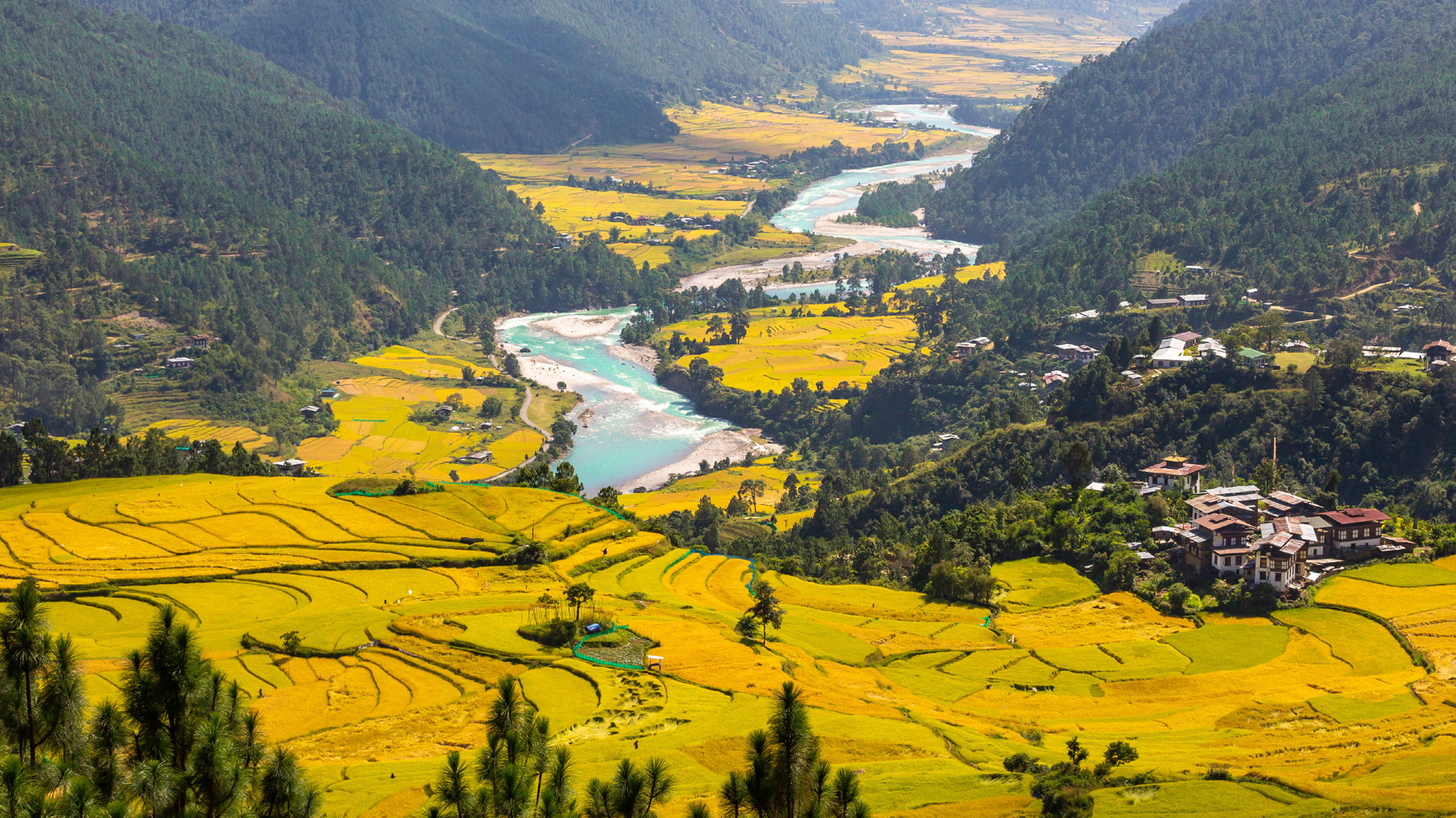 Witness the Magic of Bhutan Festivals