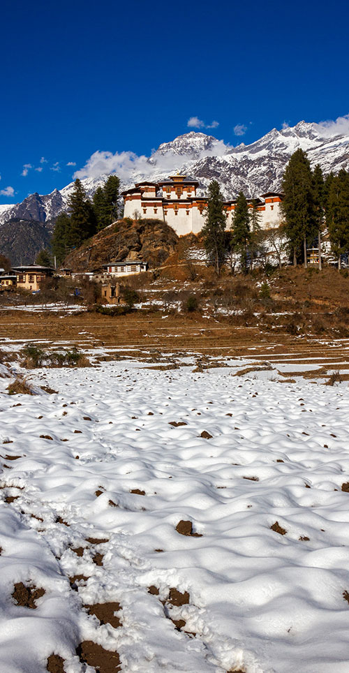 Trekking