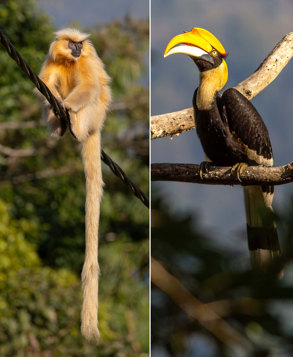 Photography Tour Highlights