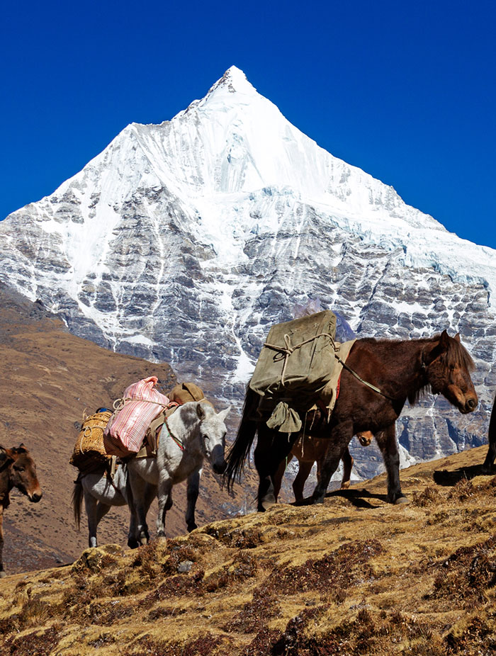 Trekking