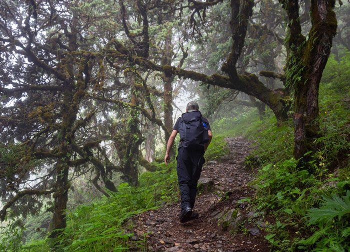 Private guide in Bhutan and transform your experience