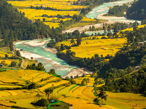 Whispers of Himalaya